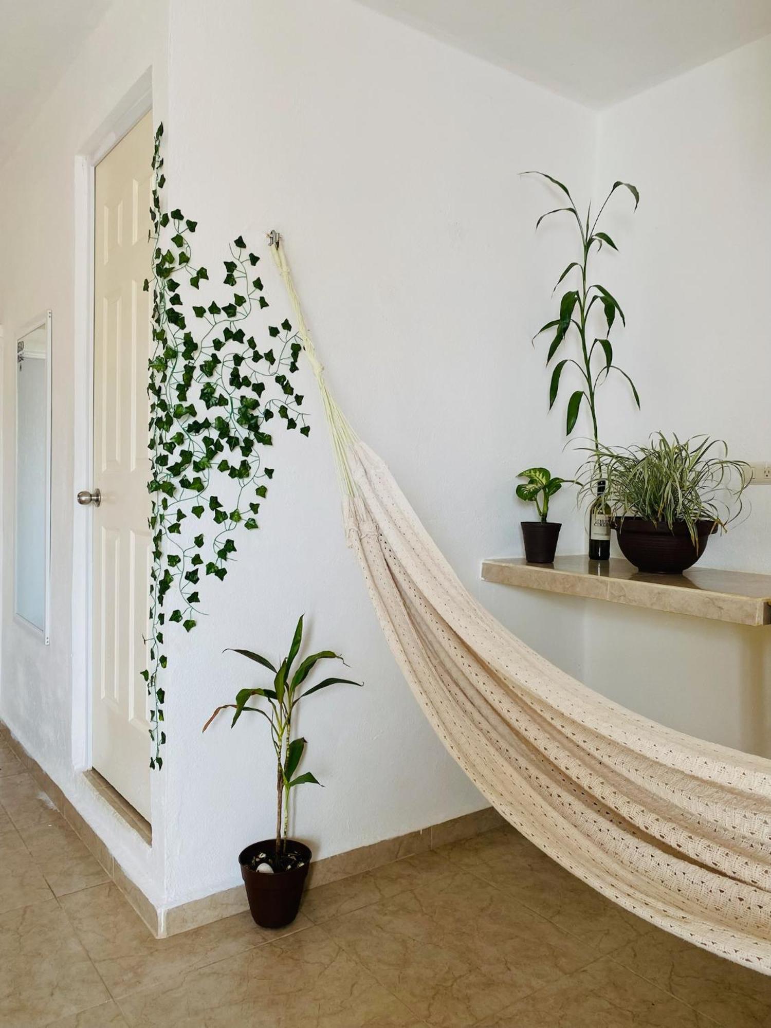 Hotel Casa Sunshine Holbox Extérieur photo